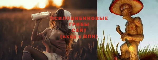 прущие крисы Богородицк