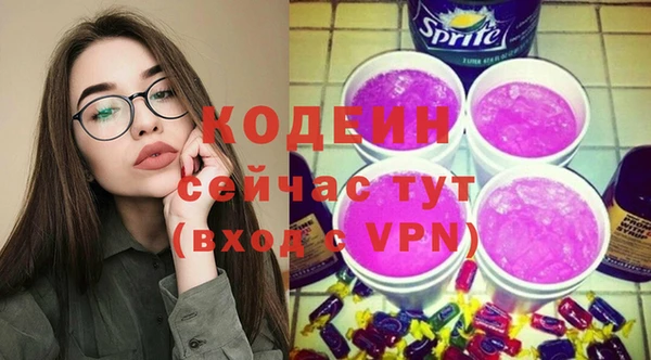 метадон Богданович