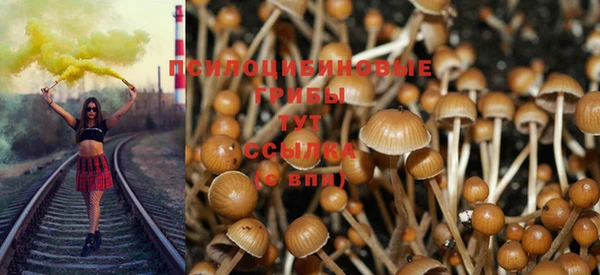 метадон Богданович