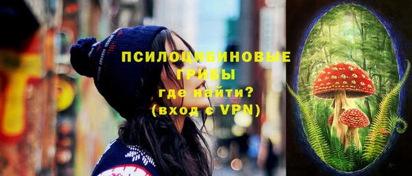 прущие крисы Богородицк