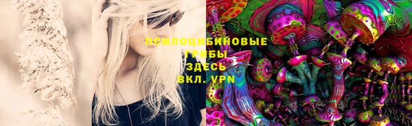 спайс Бородино