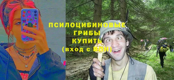 метадон Богданович
