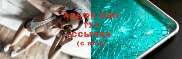 метадон Богданович