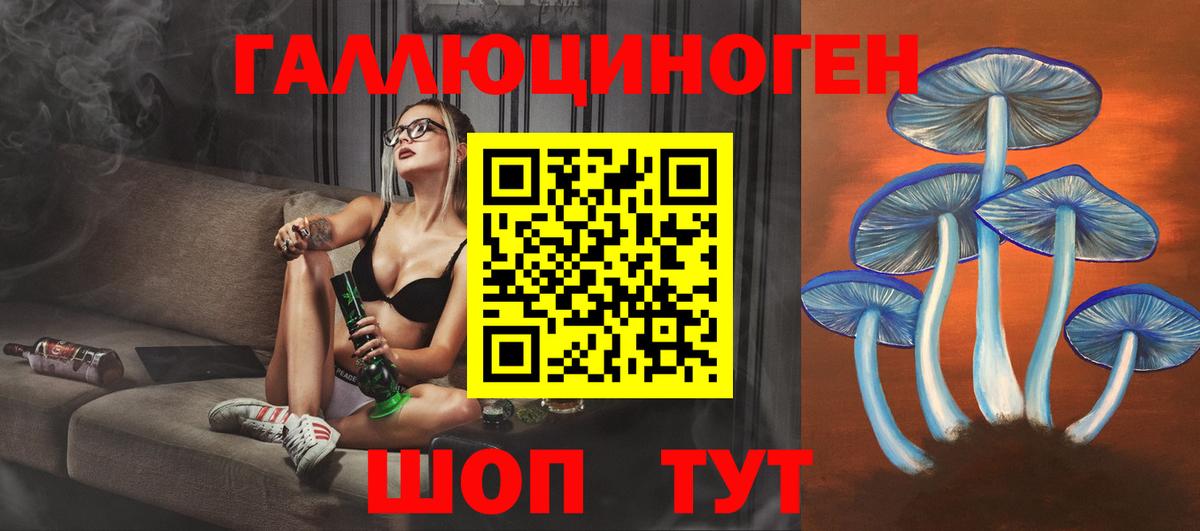Гай  Галлюциногенные грибы GOLDEN TEACHER  Вход с VPN 
