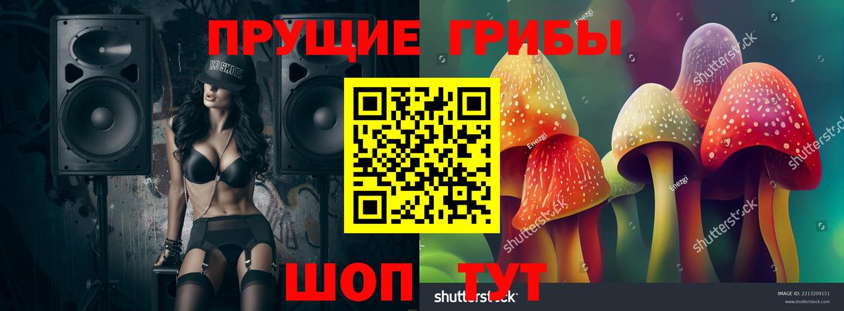 Галлюциногенные грибы прущие грибы Гай